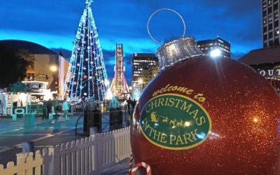 San Jose Christmas In The Park Breaks Guinness World Record with 600 Christmas Trees