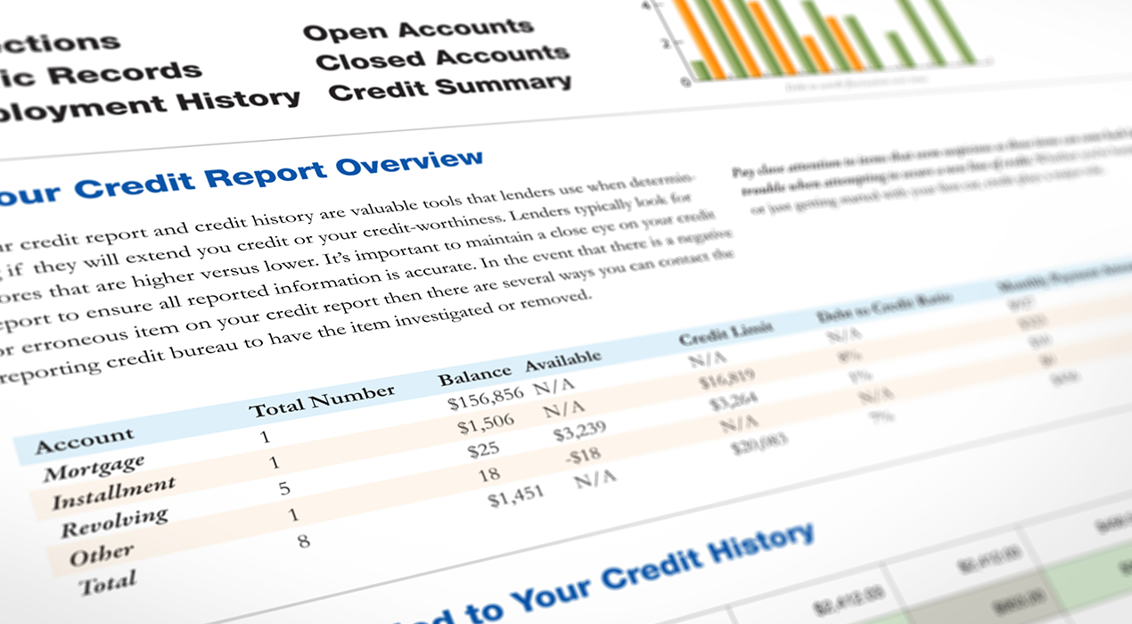 Credit report with graphs